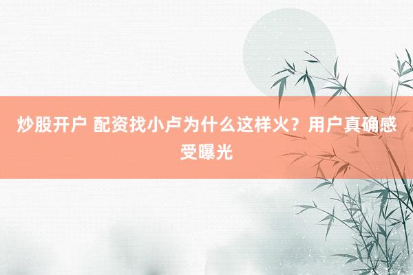 炒股开户 配资找小卢为什么这样火?用户真确感受曝光