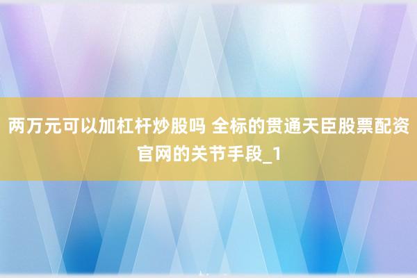 两万元可以加杠杆炒股吗 全标的贯通天臣股票配资官网的关节手段_1